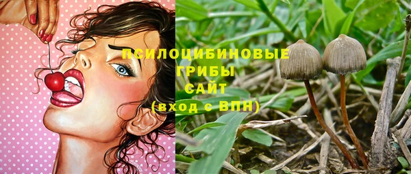 молекула духа Балабаново
